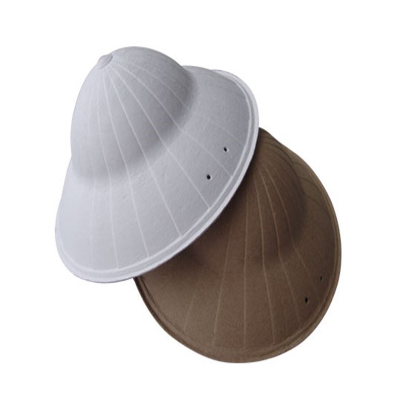 015600c987a67d4e35c4dc4d293a07d4 东莞正规的白色纸托厂家哪家好？亲测推荐