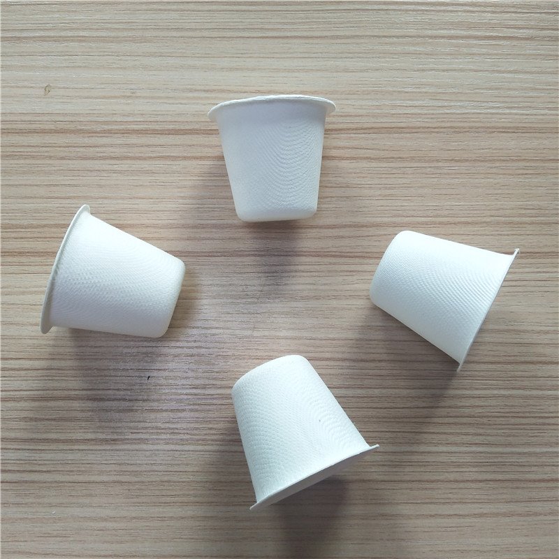 150421ce98999a272c6379746dc66201 纸托工厂：亲测案例分享，效率提升50%