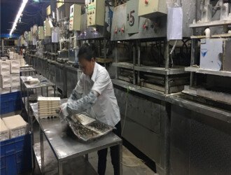 eae941e1b0e9c198448a92ecd5ad807e 蛋壳托供应商亲测推荐：5家靠谱选择